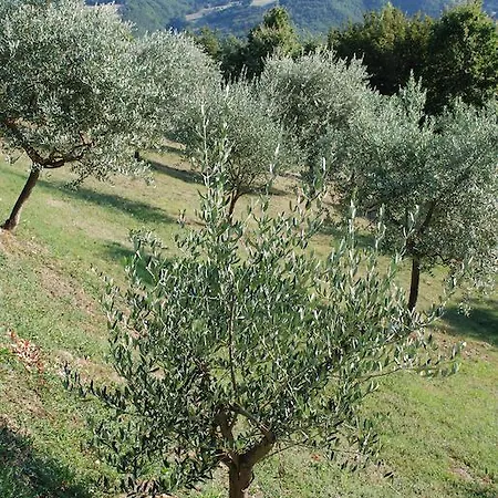 Alloggio per agriturismo Agriturismo Casa Cresta *